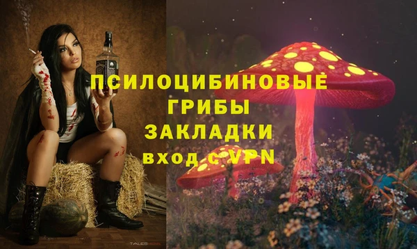 амф Абинск