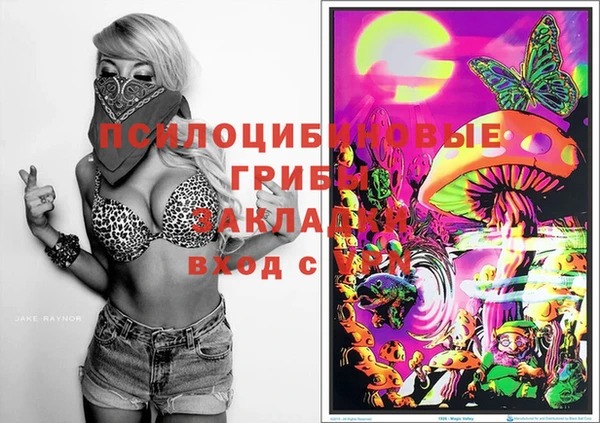 героин Няндома