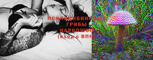 Альфа ПВП Абаза