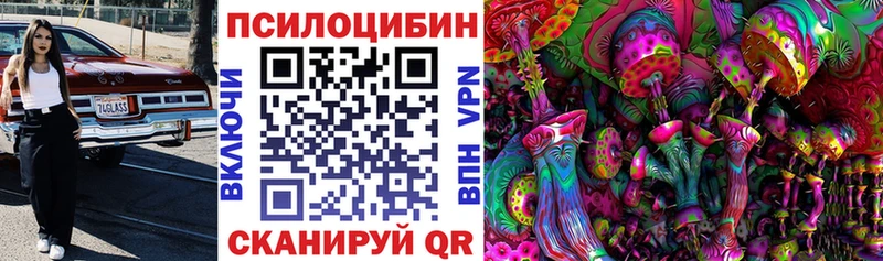 Псилоцибиновые грибы Psilocybine cubensis  Тюкалинск 